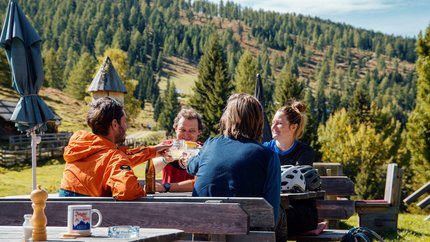 Feldpan Alm tour with lake views © David Karg Four friends toasting with drinks at a picnic in a forest