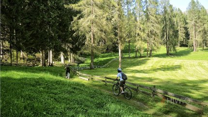 From Toblach to the Talschlusshütte in Sexten © www.hiwio.com Two cyclists riding on a forest path alongside a wooden fence