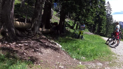 Gamsöfen Ronde © Bernhard Weissenhorn Groep fietsers pauzeert op een bospad bij zonnig weer