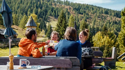 Feldpan Alm tour met uitzicht op het meer © David Karg Vier vrienden proosten met drankjes tijdens een picknick in het bos