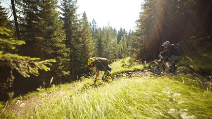 Blindsee Trail © David Karg Two mountain bikers riding on a forest trail in sunlight