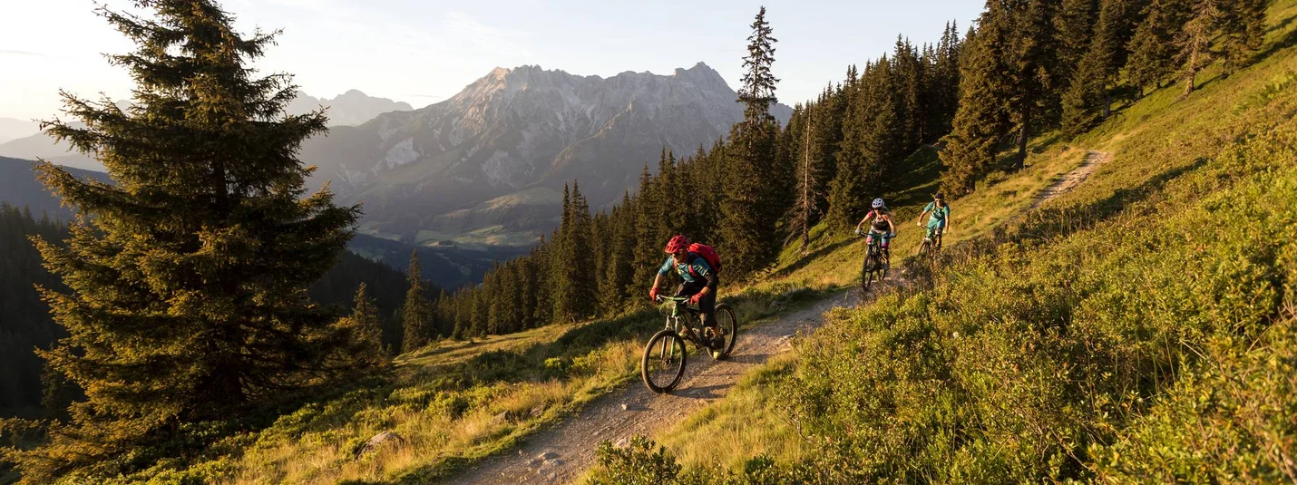 Alpine pastures - Lindlalm © Saalfelden Leogang Touristik Three mountain bikers on forest trail in mountains at sunset