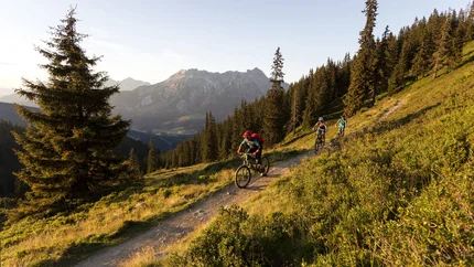 Alpine pastures - Lindlalm © Saalfelden Leogang Touristik Three mountain bikers on forest trail in mountains at sunset