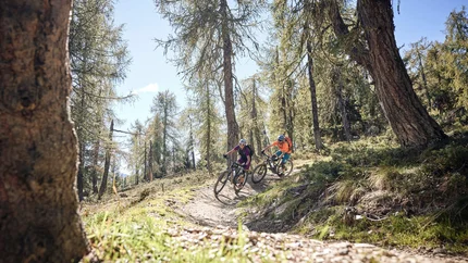 Gassl Trail © Tobias Köhler Two mountain bikers riding on a forest trail in sunlight