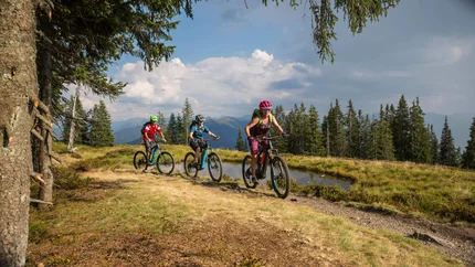 Johannes Waterfall Tour Three mountain bikers riding on a forest trail in sunny mountain landscape