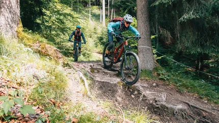 Lisi Osl Trail © Patrick Wasshuber Two mountain bikers riding down a root-covered forest trail