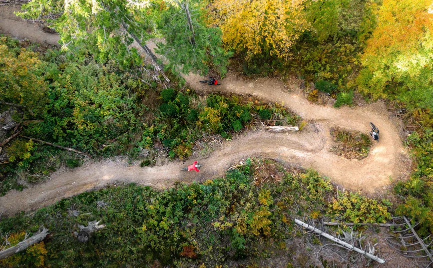 Mountain bike holidays in Styria © TVB Ausseerland Salzkammergut - Karl Steinegger Three mountain bikers riding on a winding forest trail in autumn