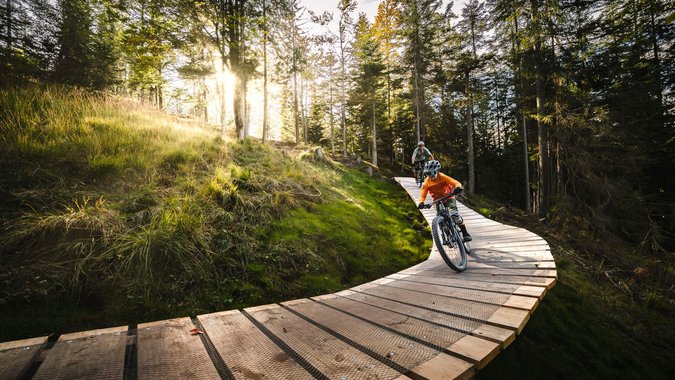 Mountain Bike Holidays © Klaus Listl Zwei Mountainbiker auf einem Holzsteg in einem sonnigen Wald