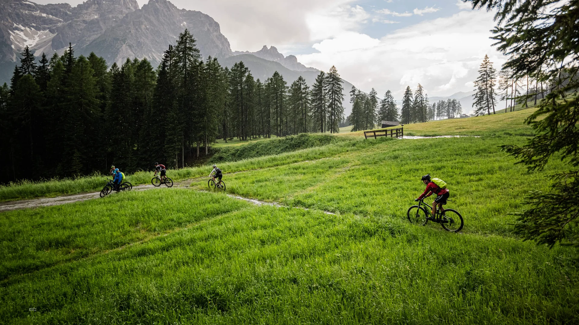 Multi-day tours © www.wisthaler.com Cyclists riding on a green field with mountains and forest in the background
