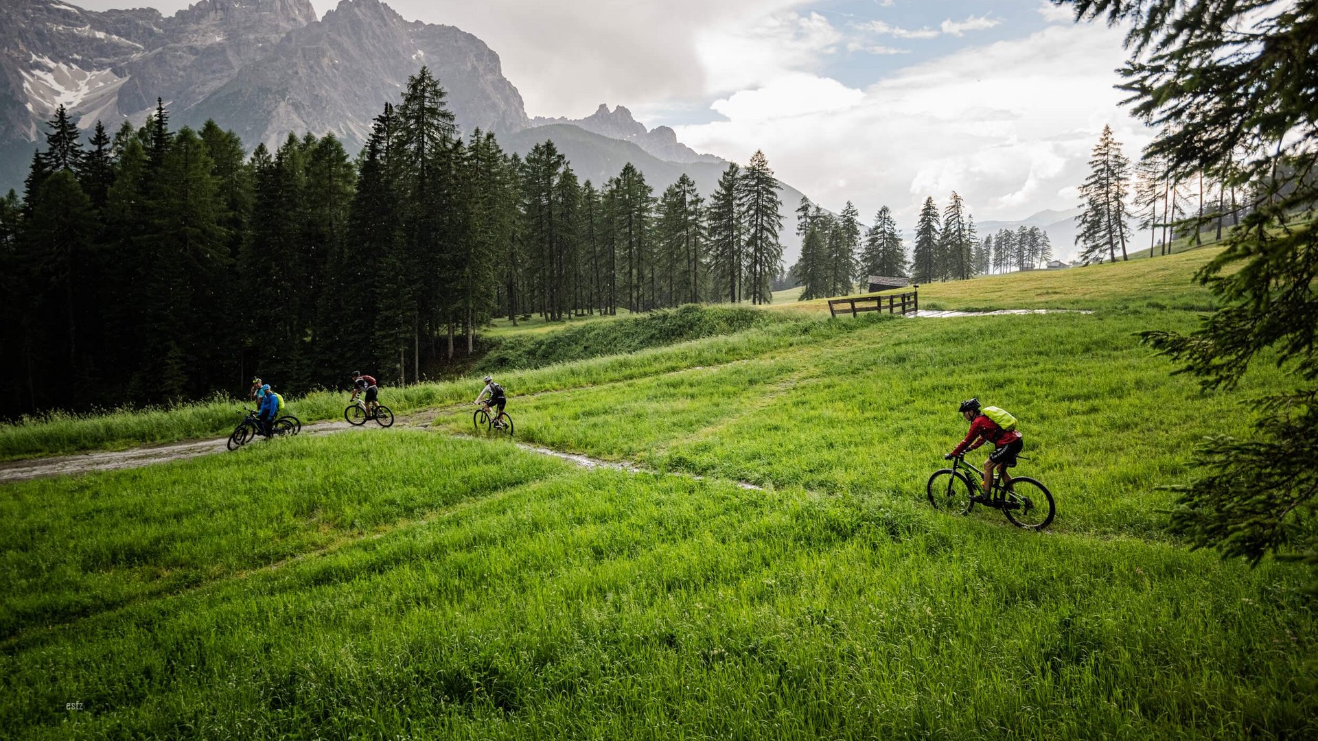 Mountain bike day online