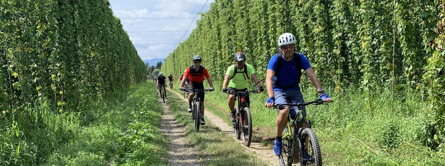 Beer and Bike Culinary MTB tour