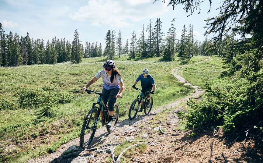 Mountain bike holidays in Flachau © Tobias Köhler Two people mountain biking on a forest trail under sunny sky