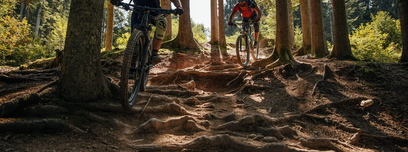 LISI OSL TRAIL © David Karg Two mountain bikers descending a root-covered forest trail