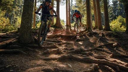 LISI OSL TRAIL © David Karg Two mountain bikers descending a root-covered forest trail