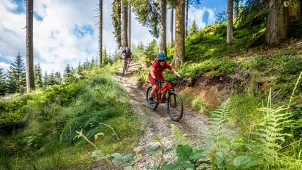 Sun Trail © TVB Kitzbüheler Alpen-Brixental, Fotograf Erwin Haiden Two mountain bikers riding down a forest trail on a slope