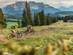 Dolomites - Val d'Ega © WOM Medien - Andreas Meyer Two mountain bikers cycling on a trail in the mountains with fir trees and a cabin