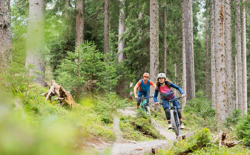 AlteSchmiede-Trail