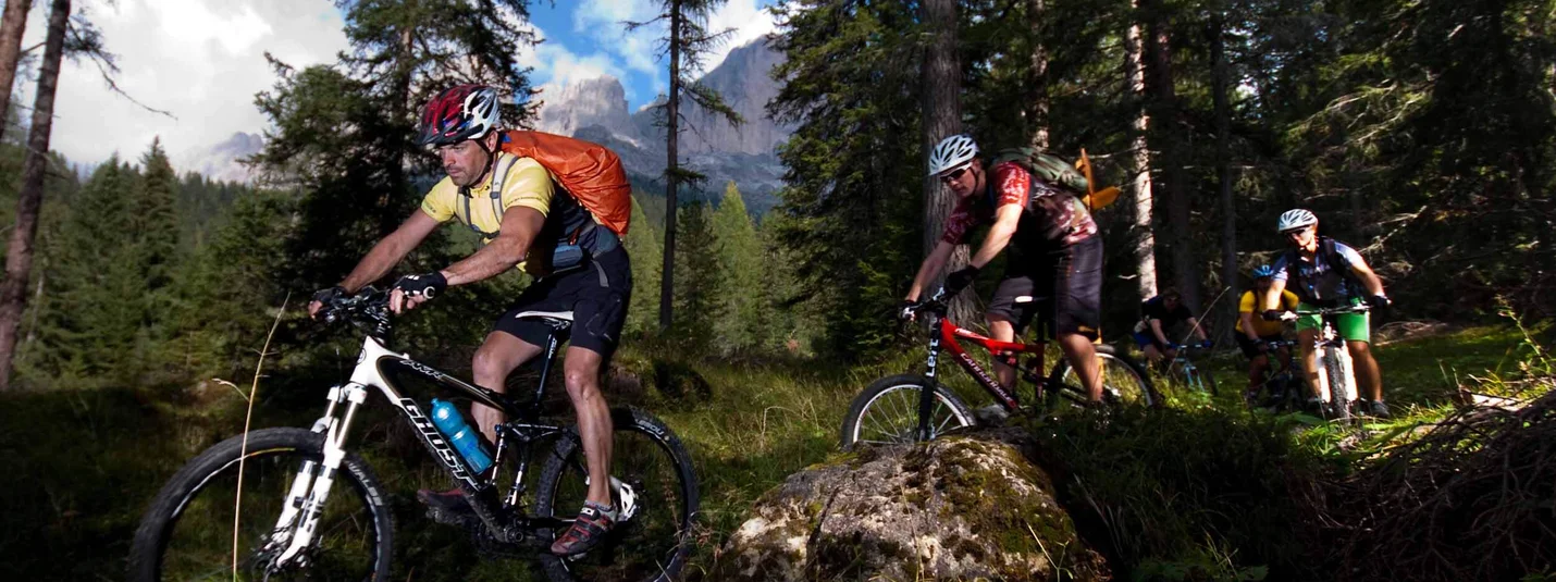 DE MONTE AGNELLO © Exploring GmbH Mountainbikers op bospaadje met bergen op de achtergrond