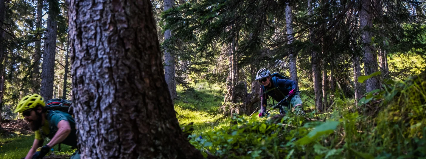 ROTLECH, LECH AND HEITERWANGER © Norman Bielig Mountain bikers riding a narrow trail through dense forest