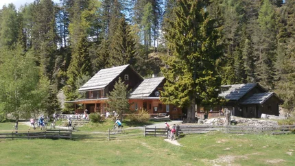 Naggler Alm ronde © Regitnig GmbH Houten hutten in bos met fietsers op grasveld