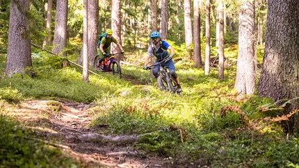 Jamnica Trail Park © WOM Medien - Andreas Meyer Two mountain bikers riding on a forest trail in sunlight