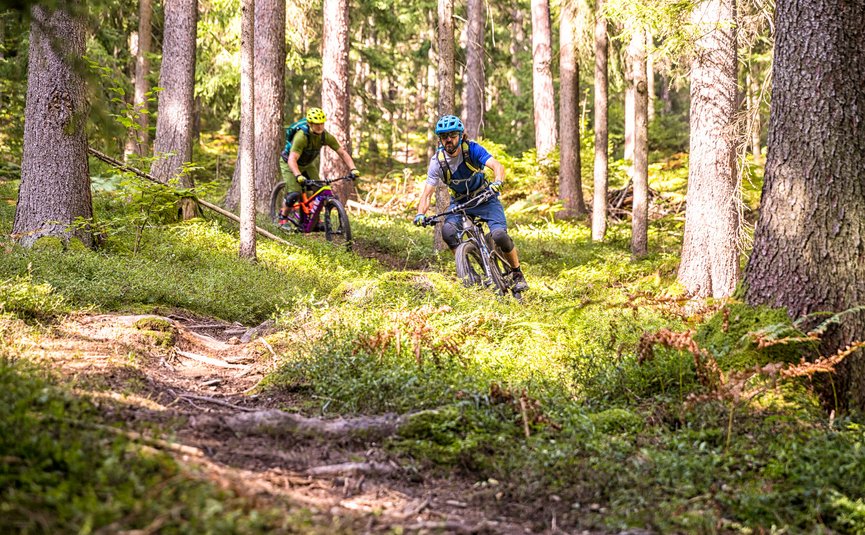 Trailpark Jamnica