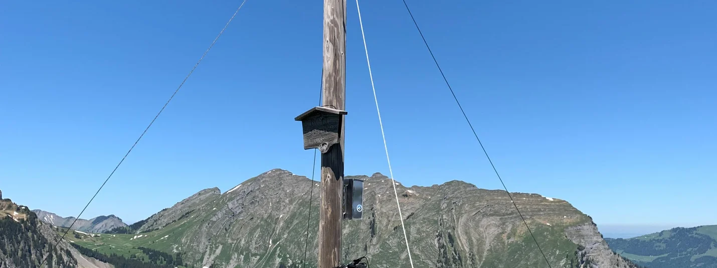 Au - Schoppernau rond de Kanisfluh © Alpen Hotel Post Rode mountainbike leunt tegen topkruis met berglandschap en blauwe lucht