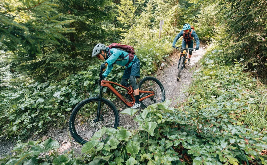 Lisi Osl Trail © Patrick Wasshuber Two mountain bikers riding downhill on a forest trail