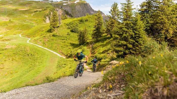Quality Promise © David Karg Two mountain bikers climbing a green mountain trail