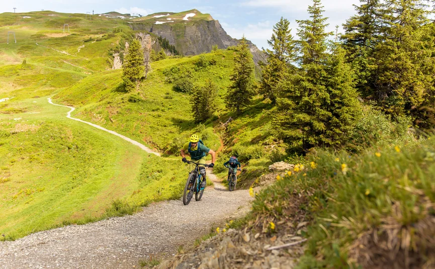Diedamskopftrail © David Karg Two mountain bikers climbing a green mountain trail