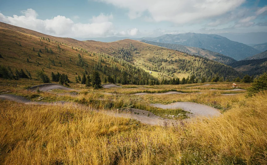 Mountain Bike holidays in the Weissensee region © David Karg Winding hiking trail through grassy hills with mountains in the background