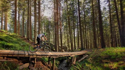 Proga 5 © Dan Briski Mountain biker rides on a wooden bridge in a sunny forest