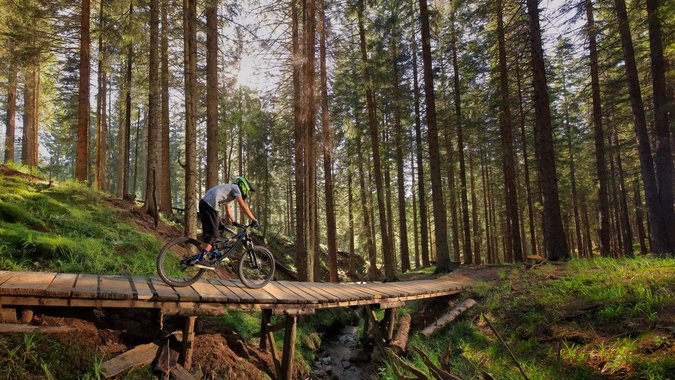 Mountain Bike Holidays © Dan Briski Mountainbiker fährt auf einer Holzbrücke durch einen sonnigen Wald