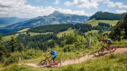Fleckalm Trail © TVB Kitzbüheler Alpen-Brixental, Fotograf Erwin Haiden Two mountain bikers riding on a trail in a green mountainous landscape