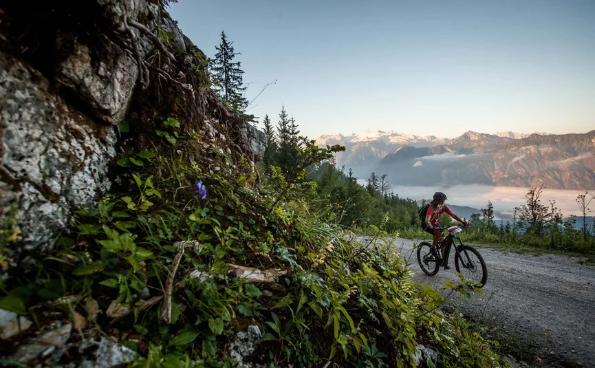 Mountain bike holiday in the Salzkammergut © Bikeboard.at - Erwin Haiden Mountain biker cycling on forest trail with mountain view at sunrise