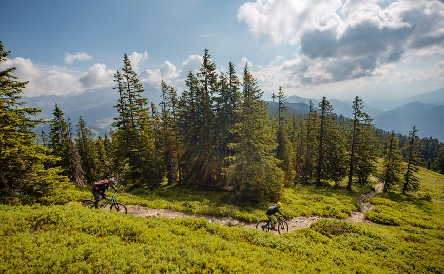 Mountain biking in Salzburger Land © David Karg Two mountain bikers riding on a mountain trail through green forest