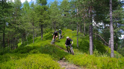 JAMNICA PANORAMA TOUR © Urosh Grabner Three mountain bikers riding downhill on a narrow forest trail