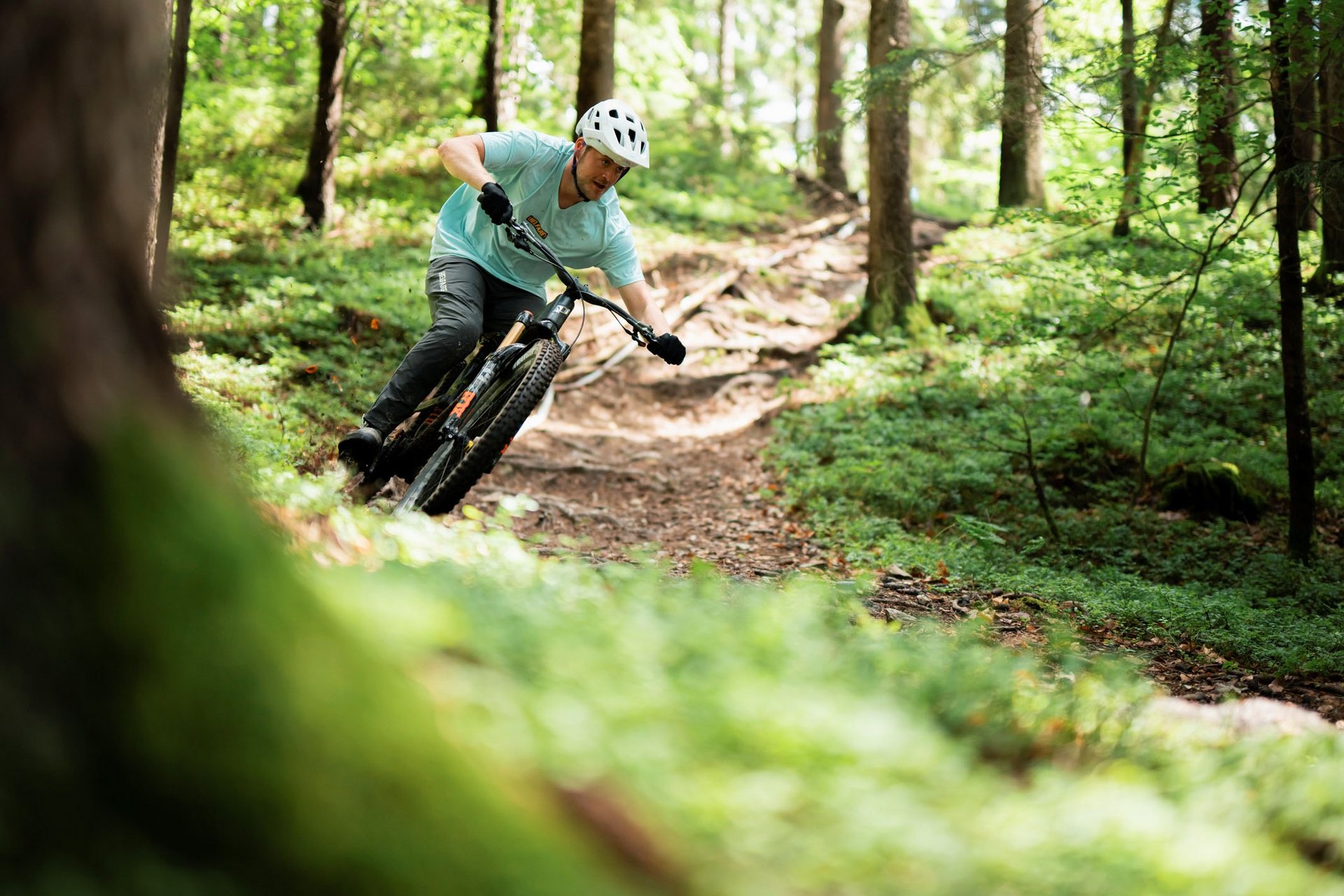 Mountain Bike Holidays © Slovenia Tourist Board - Rupert Fowler Mountainbiker fährt durch einen bewaldeten Wanderweg