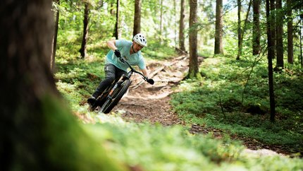 Slovenia © Slovenia Tourist Board - Rupert Fowler Mountain biker riding on a forest trail