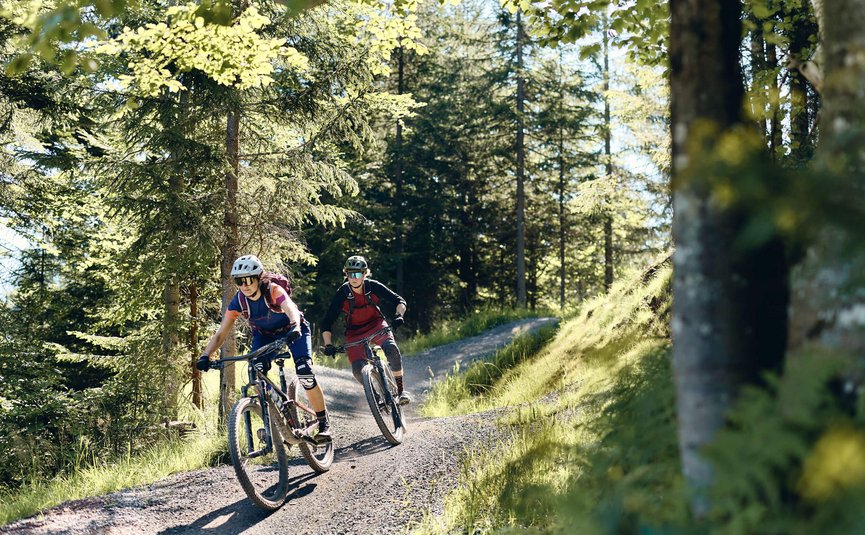 Mountain biking in Salzburger Land