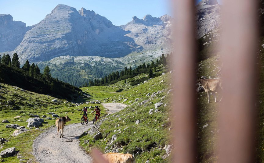 Dolomiten UNESCO Naturparkrunde