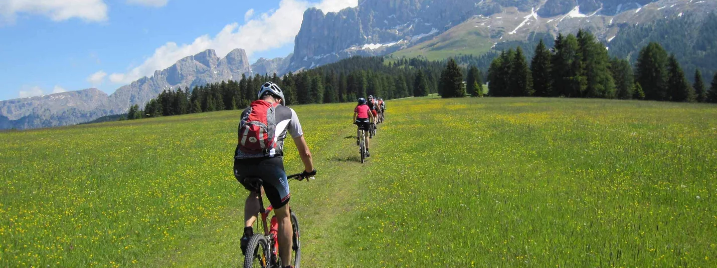 GRAND ROSE GARDEN TOUR © Exploring GmbH Group mountain biking on green meadow with forested mountains and blue sky