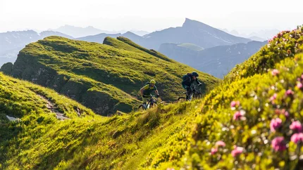Vorarlberg © David Karg Two mountain bikers riding on a grassy mountain trail in sunny weather