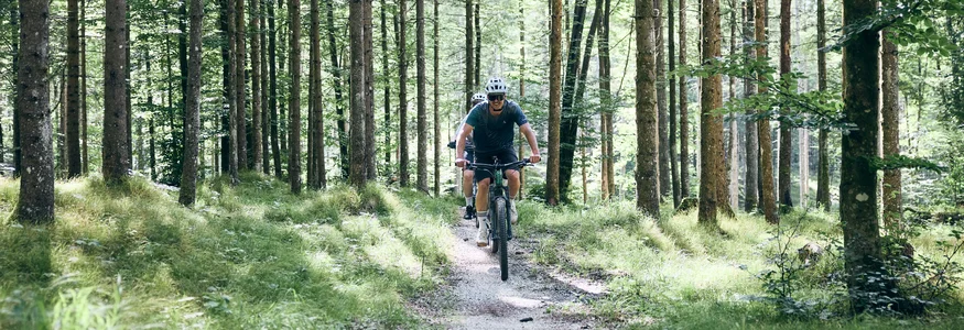 Holiday Region Dachstein Salzkammergut © Tobias Köhler Two mountain bikers riding on a forest trail surrounded by green trees