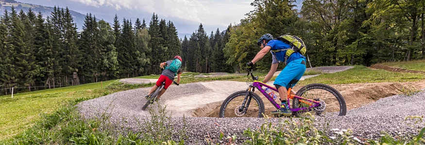 Weissensee © WOM Medien - Andreas Meyer Two cyclists riding on a curvy mountain bike trail in a forest