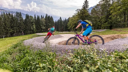 MEX-Line 1 © WOM Medien - Andreas Meyer Two cyclists riding on a curvy mountain bike trail in a forest