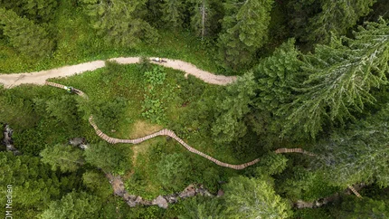 Carezza Trail © WOM Medien - Andreas Meyer Drone view of forest path with cyclists on wooden bridge