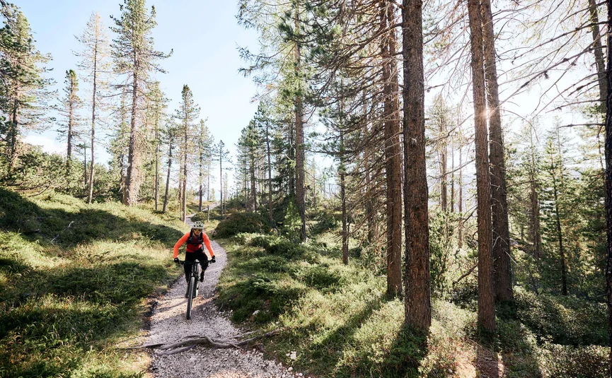 Mountain bike holidays in Alta Badia © Tobias Köhler Mountain biker riding on a narrow forest trail in sunlight
