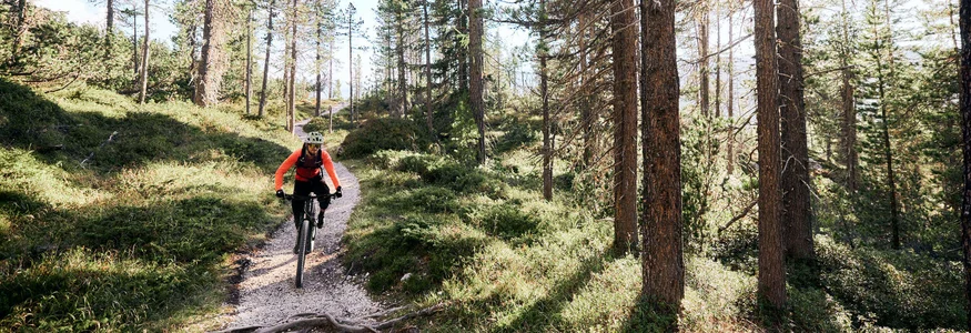 Alta Badia © Tobias Köhler Mountain biker riding on a narrow forest trail in sunlight