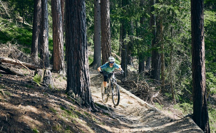 Mountain bike holiday in Brixen © Tobias Köhler Mountain biker rides a narrow forest trail among tall trees